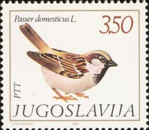 スズメ.ユーゴスラビア.1982
