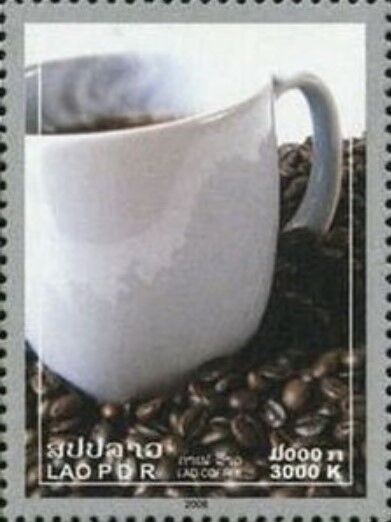 ラオスコーヒー.2008