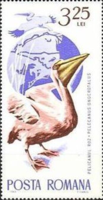 モモイロペリカン.1965.ルーマニア