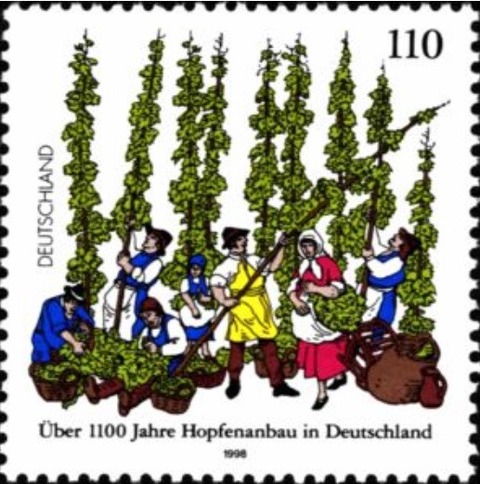 ホップの収穫.ドイツ.1998