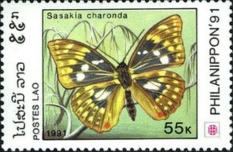 オオムラサキ.ラオス.1991