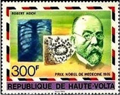 結核.オートボルタ.1976