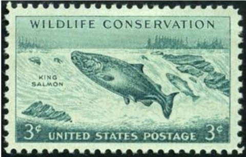 マスノスケ.米国.1956