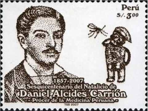 カリオン.ペルー.2007