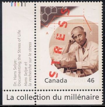 セリエ.カナダ.2000