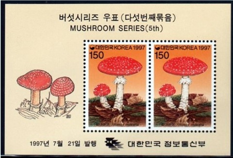 ベニテングダケ.韓国.1997