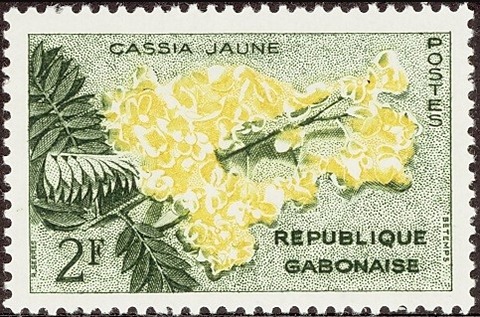 センナ.ガボン.1961