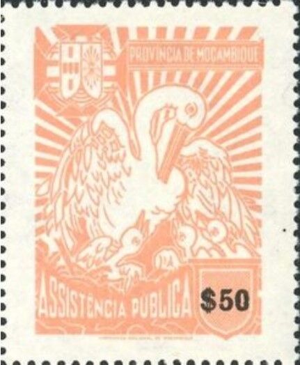 モモイロペリカン.1963.モザンビーク