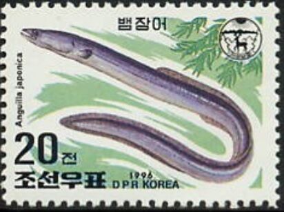 ウナギ.北朝鮮.1996
