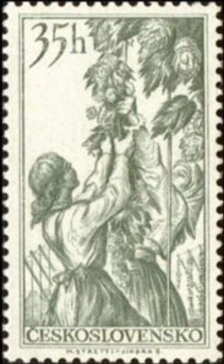 ホップ.チェコスロバキア.1956