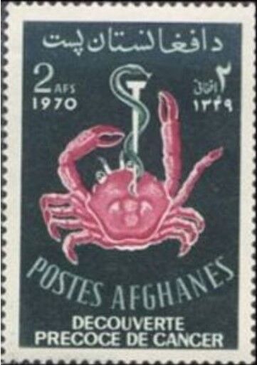 がん征圧.アフガニスタン.1970