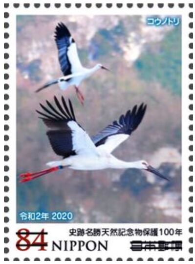 ウノトリ.2020