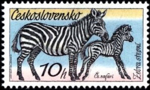 シマウマ.チェコスロバキア.1976