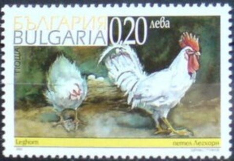ニワトリ.ブルガリア.2002