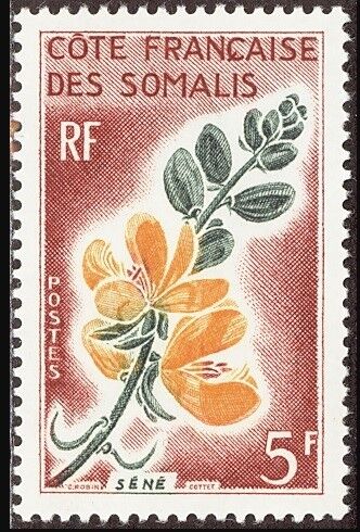 アレキサンドリアセンナ.フランス領ソマリ海岸.1966