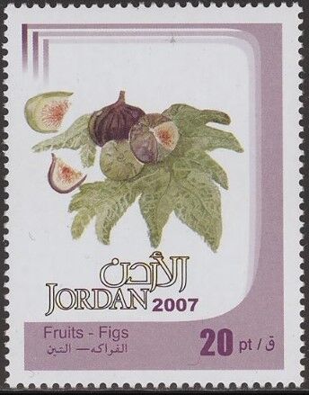 イチジク.ヨルダン.2007