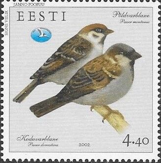 スズメ.リトアニア.2002