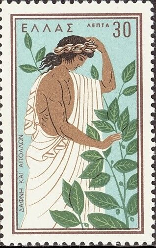 月桂樹.ギリシャ.1958