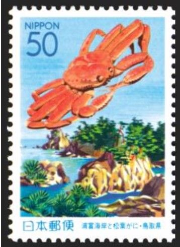 ズワイガニ.鳥取県2001