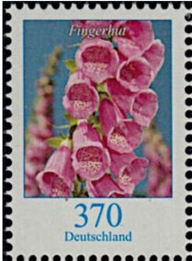 ジギタリス.ドイツ.2019