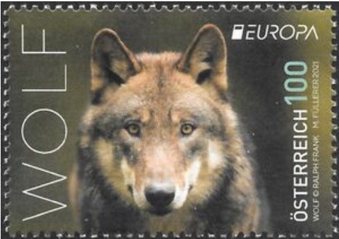 ヨーロッパオオカミ.オーストリア.2021