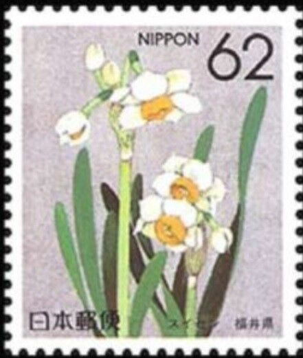 スイセン.福井県の花.1990