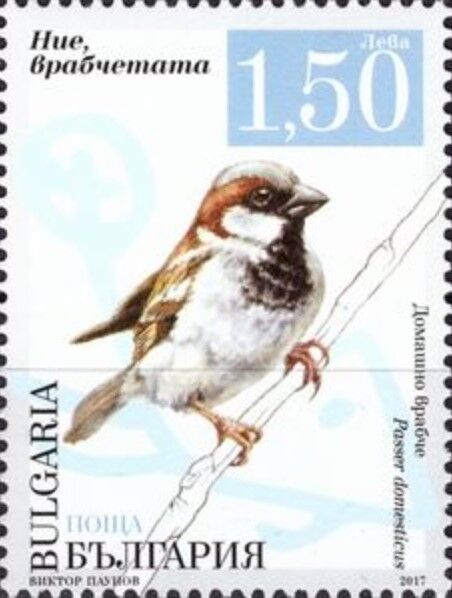 イエスズメ.ブルガリア.2017