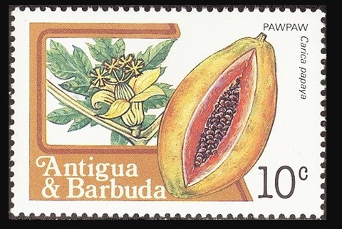 パパイア.アンティグア・バーブーダ.1983