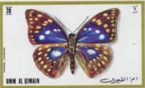 オオムラサキ.ウンム・アル＝カイワイン.1972