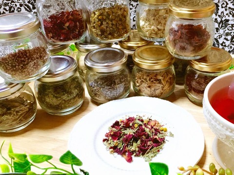 11��Υ��٥�ȤΤ��Τ餻�Ǥ���