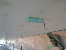 �����顼����