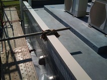 ����߳���