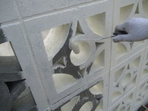 ���ɤ�����