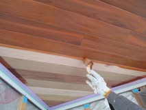 �忧������