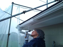 ���ɤ�����