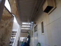 �ⰵ���������