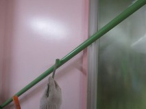 IMG_0372_R