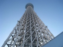 ������Υ������ĥ꡼