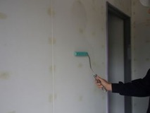 �����顼����