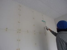 �����顼����