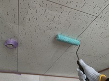 �����顼����