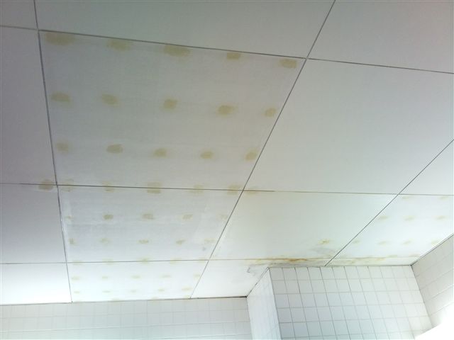 行方市 s様 にてトイレのケイカル板天井補修塗装 外壁塗装 塗装工事など茨城 千葉の塗装業者すみとのブログ 行方市 s様 にてトイレのケイカル板天井補修塗装 外壁塗装 塗装工事など茨城 千葉の塗装業者すみとのブログ