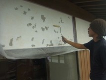 �����顼����