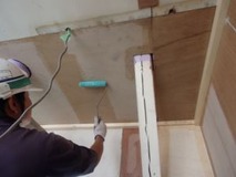 �����顼����