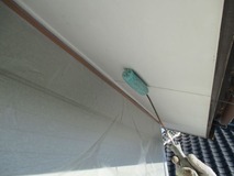 �����顼����