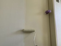 ���ɤ�����