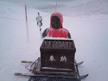 ��ĺ�Τ���¢����