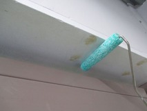 �����顼����