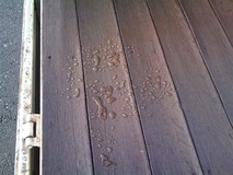 ��������������