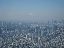 ŷ˾�ǥå�������ٻλ�